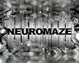 Neuromaze Image