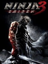 Ninja Gaiden 3 Image