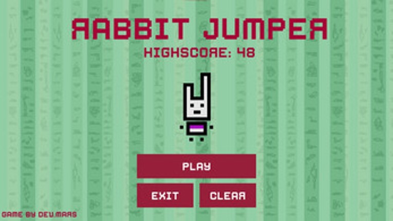 Rabbit Jumper Image