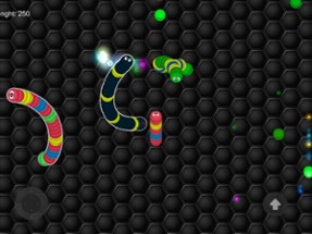 Snake Multi Face Skins Games Image