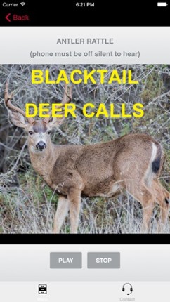Blacktail Deer Calls Sounds Image