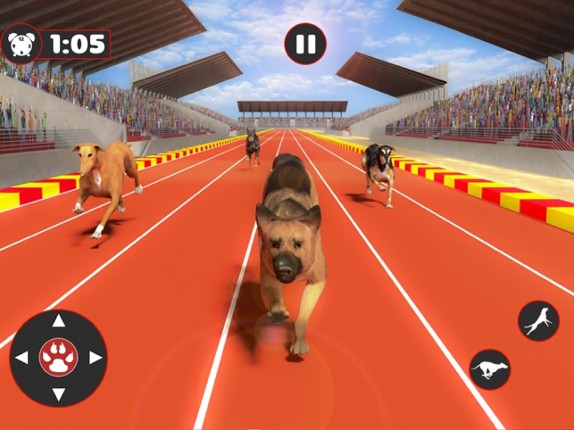 Greyhound Dog Racing Derby screenshot