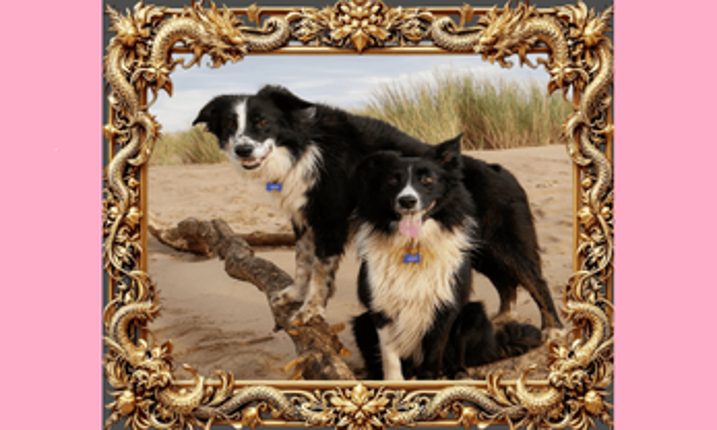 Guess the Breed screenshot