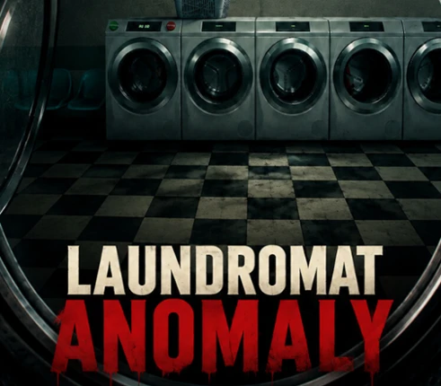 Laundromat 8 Image