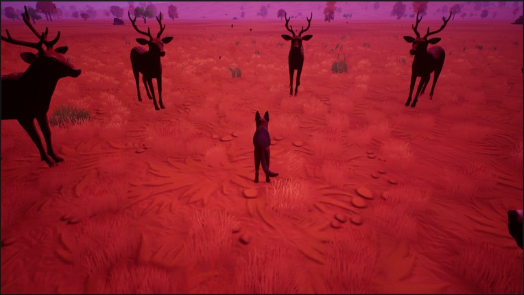 Left In The Forest Image