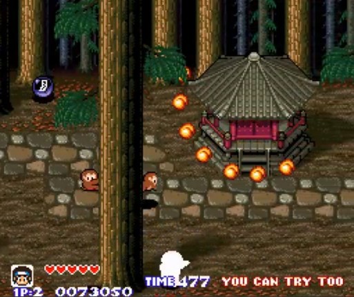 Pocky & Rocky screenshot