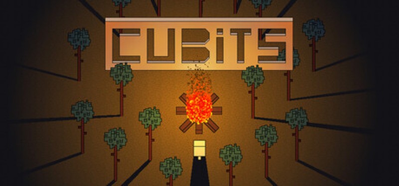 Cubits Image
