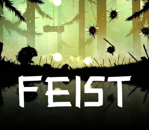 FEIST Image