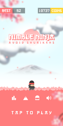 Nimble Ninja Image