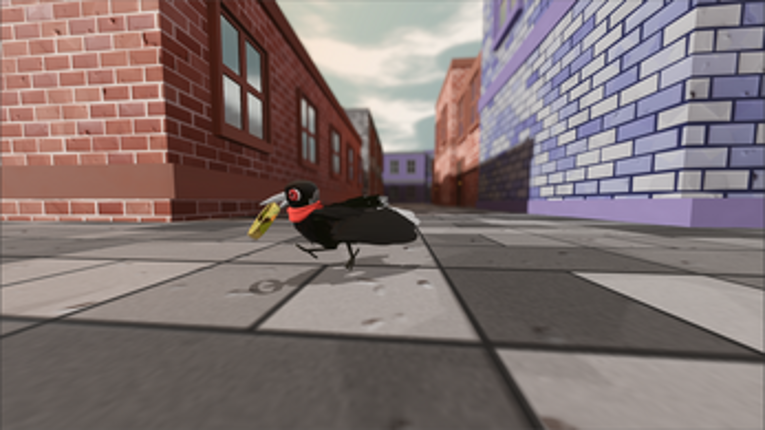 Maggie The Magpie Image