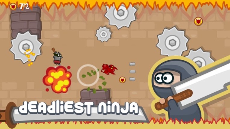 Ninja Shurican: Tiny Deadly Fighter screenshot