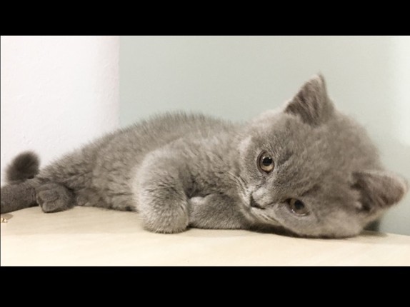 Paint the world-coloring book screenshot