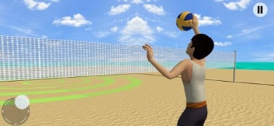 Volleyball Championship Court Image