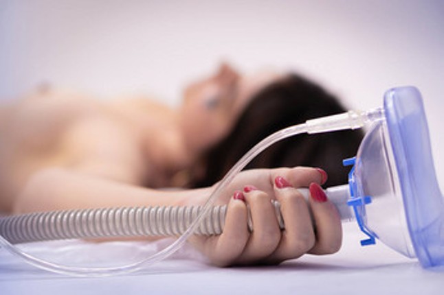 Archive 2019 screenshot