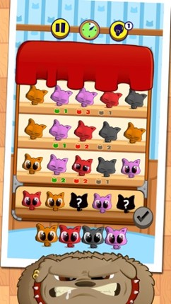 Code Cat Image