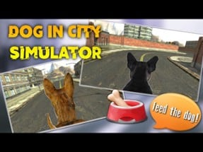 Dog In City Simulator Image