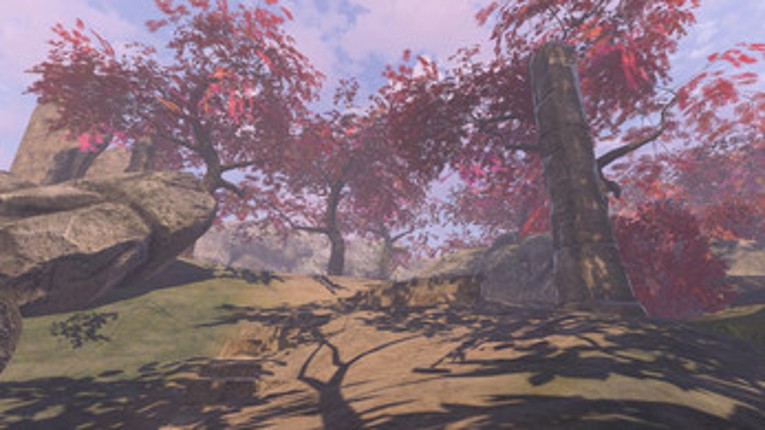 Dream: Tree Image
