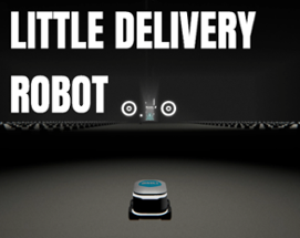 Little Delivery Robot Image