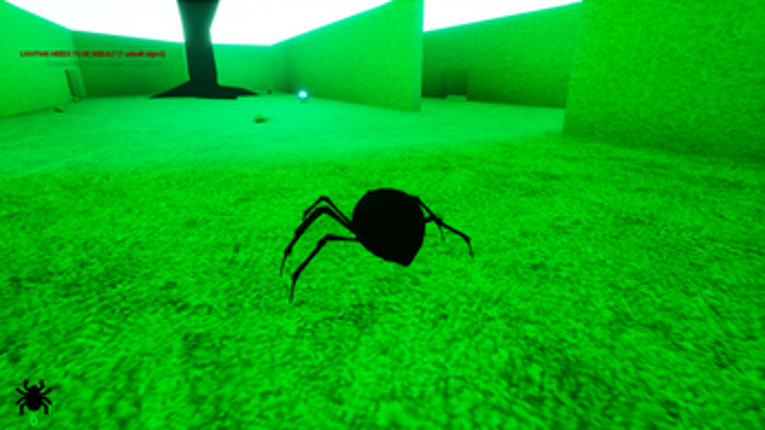 SpiderUp Image