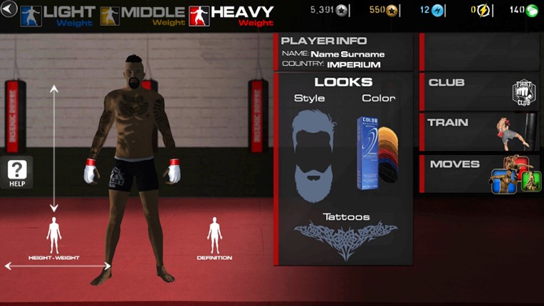 MMA Fighting and UFC Champions Simulator screenshot