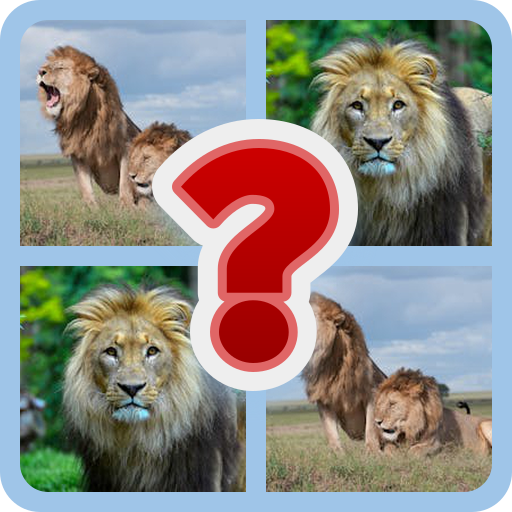 Games like Mysteries in the Wild: Animal Quiz