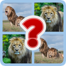 Mysteries in the Wild: Animal Quiz Image