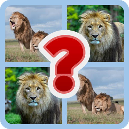 Mysteries in the Wild: Animal Quiz Game Cover