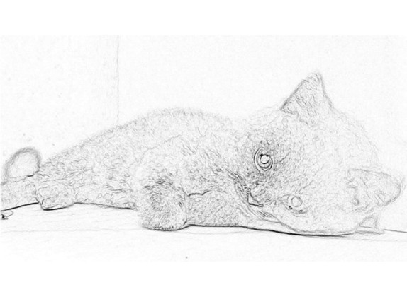 Paint the world-coloring book Image