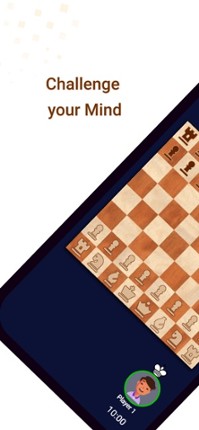 Sklash Chess screenshot
