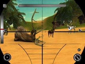 Deer Hunter Wild Hunting Clash Image