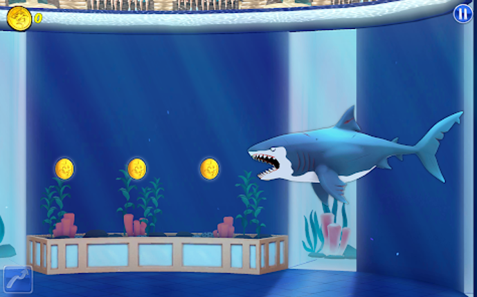My Shark Show screenshot