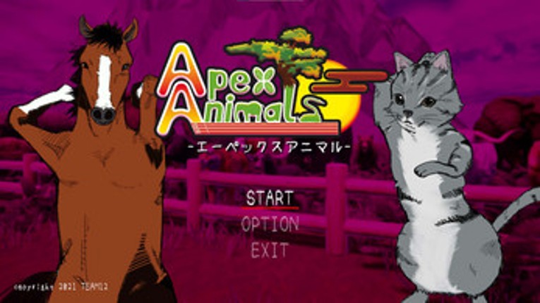Team12_Apex Animals Image