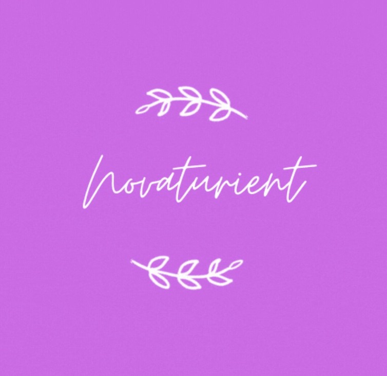 Games like Novaturient