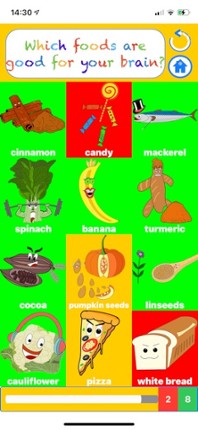 Magic Food FE Image
