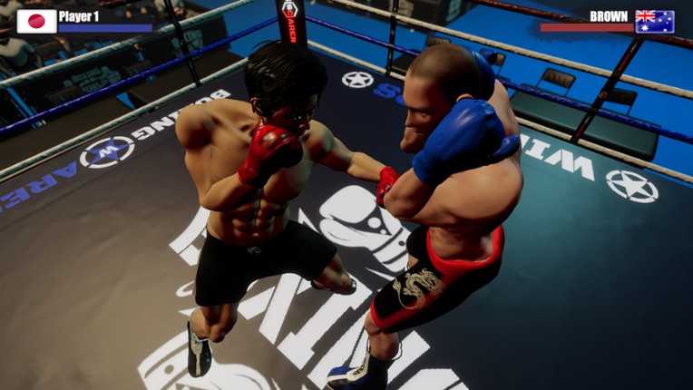 Rookie Boxing screenshot