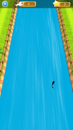 Escape Fish - Game screenshot