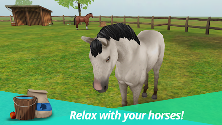 Horse World Premium Image