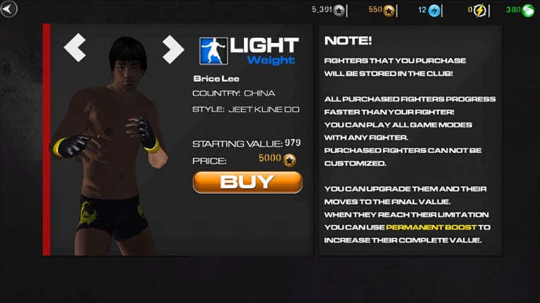MMA Fighting and UFC Champions Simulator screenshot