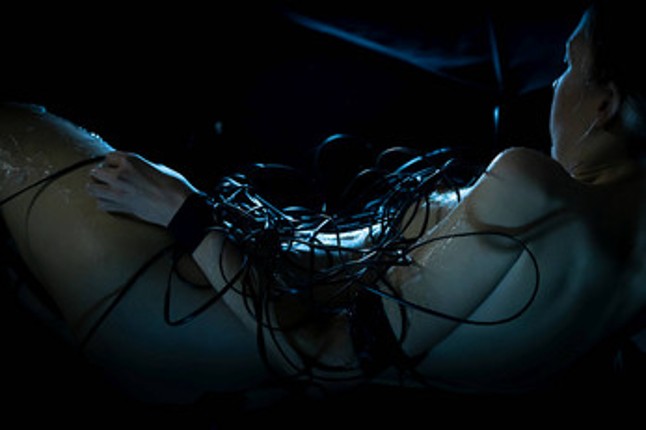 Archive 2019 screenshot