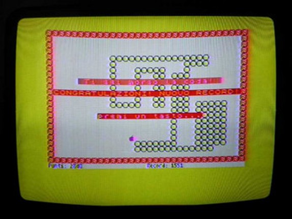 ZNAKE (ZX Spectrum) Image