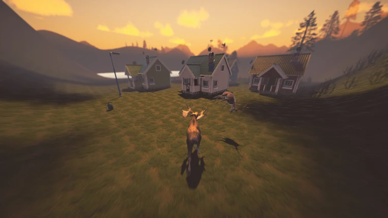Let it Moose Image