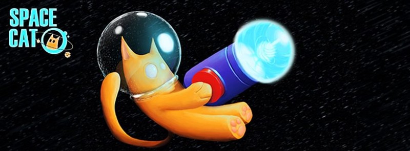 Space Cat Image