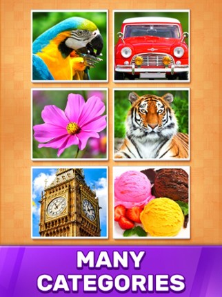 Jigsaw Puzzle Blocks screenshot