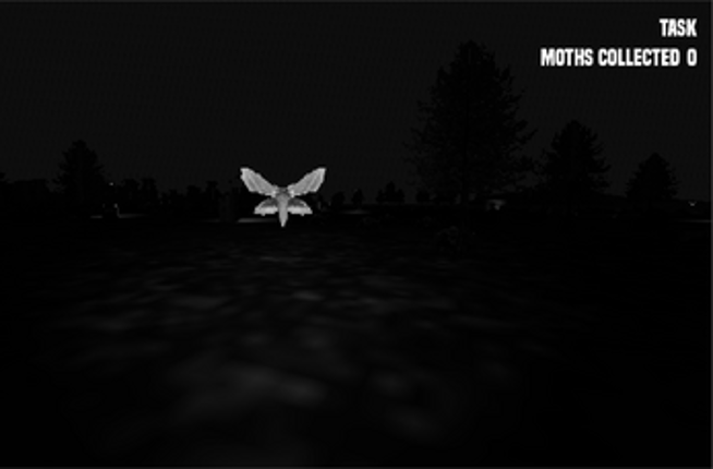 THE MOTH HUNT Image