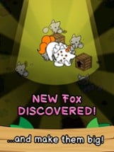 Fox Evolution - Clicker Game Image