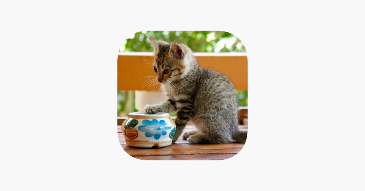 Games like Jigsaw Nyanko