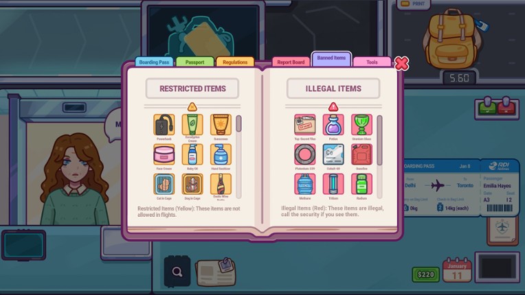 Nothing To Declare screenshot