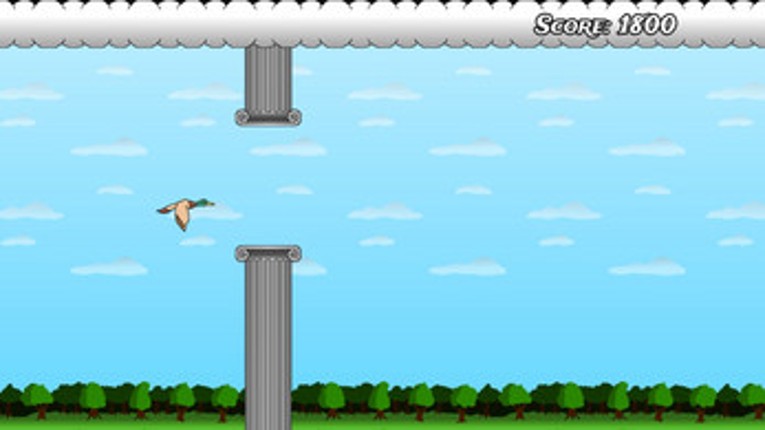 Quacky Flap Image