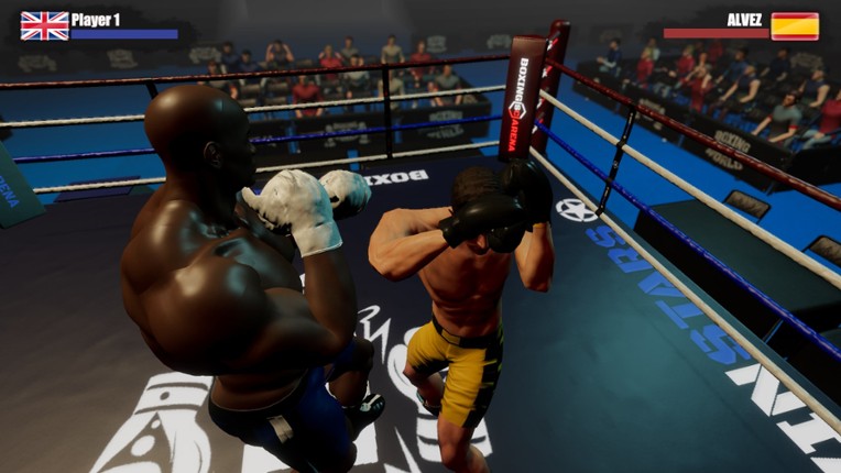 Rookie Boxing screenshot