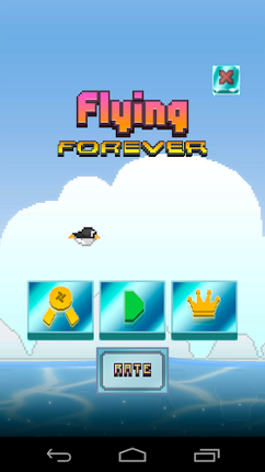 Flying Forever Image